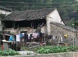 The Village housing The Village housing