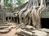Ta prohm temples near siem reap Ta prohm temples near siem reap