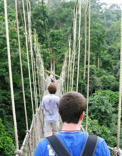 On the canopy walk On the canopy walk