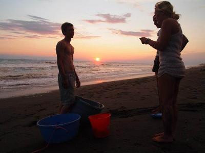 Releasing hatchlings at sunset Releasing hatchlings at sunset
