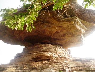 Volunteer trip to Umbrella Rock in Ghana Volunteer trip to Umbrella Rock in Ghana