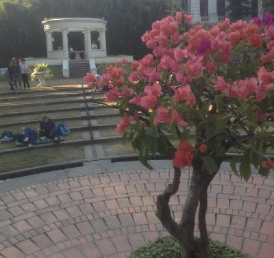 Garden of dreams Nepal Garden of dreams Nepal