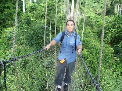 Kakum reserve Kakum reserve