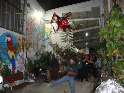 Hitting a pinata in Mexico Hitting a pinata in Mexico