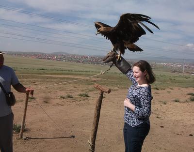 Volunteer holds a hunting eagle in Mongolia Volunteer holds a hunting eagle in Mongolia
