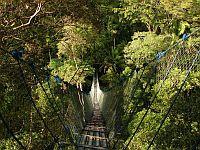Canopy walkway Canopy walkway