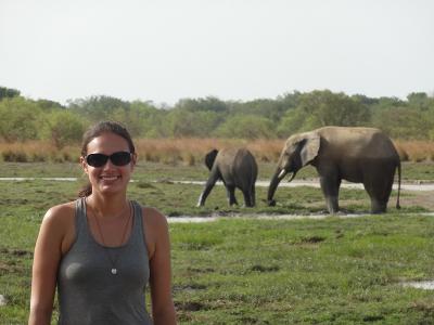 African safari African safari