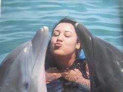 Cave visit Swimming with dolphins