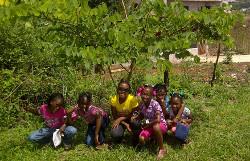 Care placement Jamaica