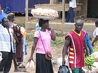 Coming home from market