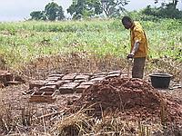 Making mud bricks
