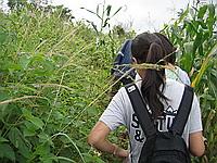 Walking through the jungle