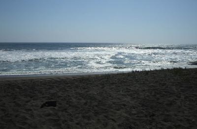 The beach The beach