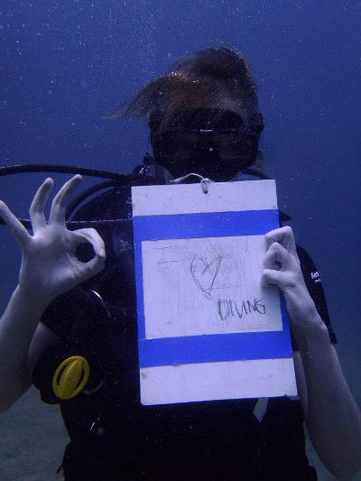 Diving project Thailand Diving project Thailand