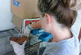 Veterinary Medicine & Animal Care