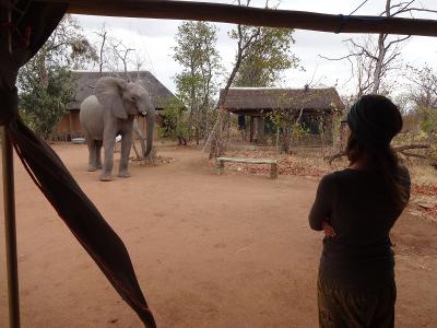 Conservation Conservation