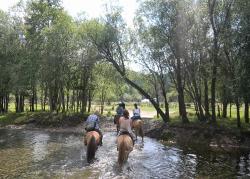 Horseriding Horseriding