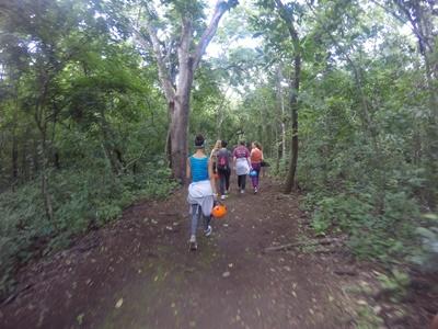 Volunteers walking through the forest in Costa Rica Volunteers walking through the forest in Costa Rica