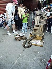 Not what we expected to be in the box! Not what we expected to be in the box!