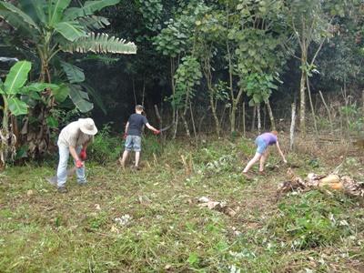 Conservation work Conservation work