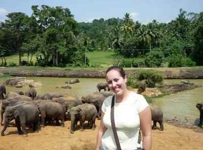 Elephant orphanage Elephant orphanage