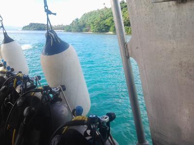 Shark Conservation Fiji Shark Conservation Fiji