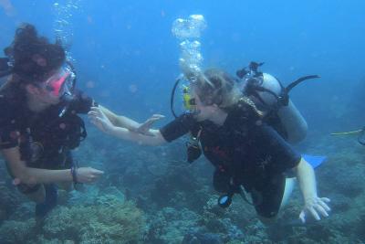 Marine conservation Marine conservation