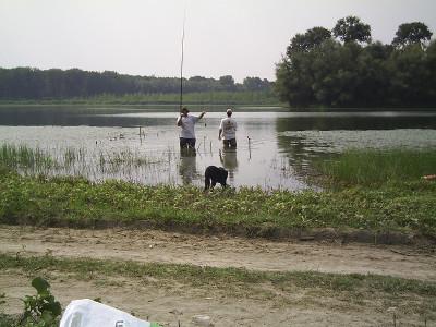 Fishing at Popina Bordusani Fishing at Popina Bordusani