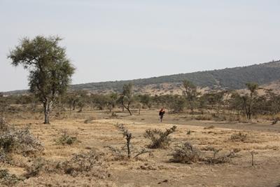 Impression of the Maasai land in Tanzania Maasai Land in Tanzania