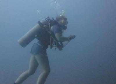 Diving Diving
