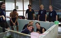 Cleaning fish tanks Cleaning fish tanks