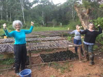 Volunteers help out at the tree nursery in a wildlife reserve Volunteers help out at the tree nursery in a wildlife reserve