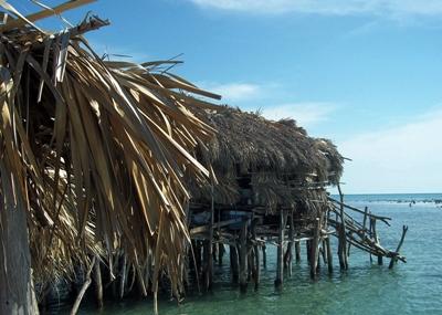 Travels in Jamaica Travels in Jamaica