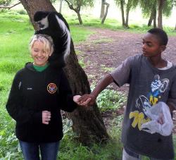 Experiencing the wildlife