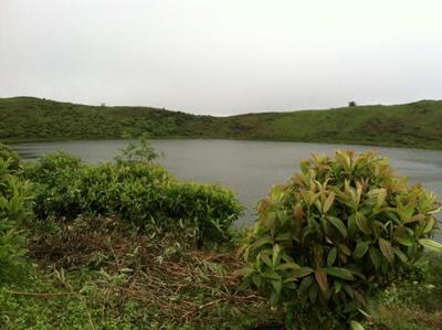 El Junco El Junco