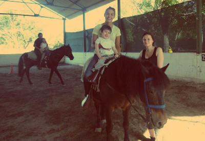 Volunteer with horses Volunteer with horses