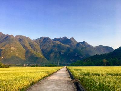Scenery in Vietnam Scenery in Vietnam