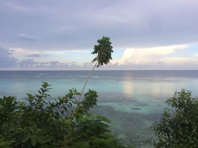 View in Ocho Rios View in Ocho Rios