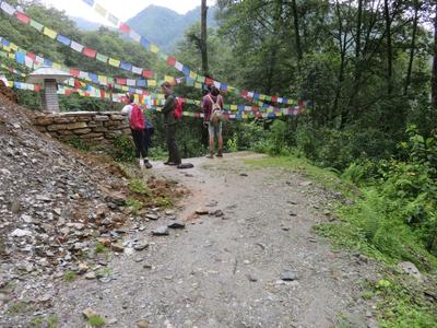 Volunteers walking beneath Tibetan prayer flags Volunteers walking beneath Tibetan prayer flags