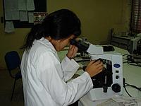 Me working in the lab Me working in the lab