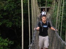 Canopy walk Canopy walk