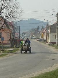 Horse and cart in the street Horse and cart in the street