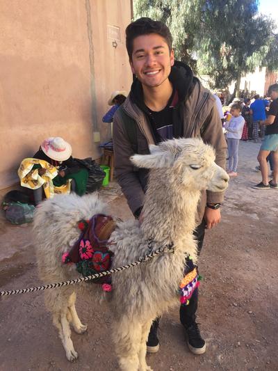 Robert standing with an alpaca Robert standing with an alpaca