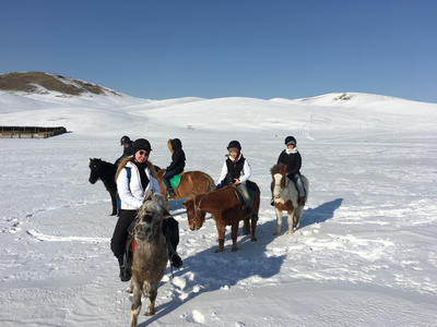 Horse riding in the snow Horse riding in the snow