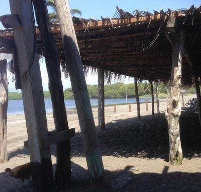 Mexico Conservation Site Samuel Levez