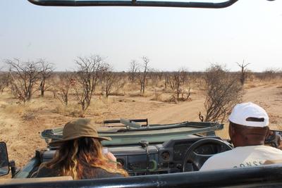 Sarah completing a wildlife census during a safari drive Sarah completing a wildlife census during a safari drive