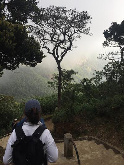 Volunteers decending Adams Peak in Sri Lanka Volunteers decending Adams Peak in Sri Lanka