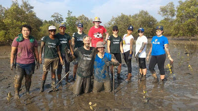 Volunteers after planting mangroves Volunteers after planting mangroves