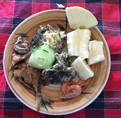 Meal in Fiji Sophie B.