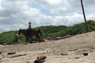 Volunteer horse riding Volunteer horse riding